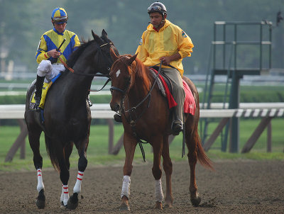 prerace traver's - street sense looking relaxed