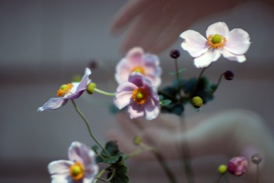 passing moment