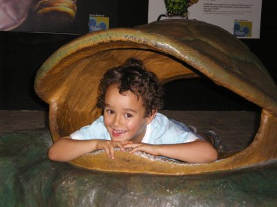IMGP0476.jpg