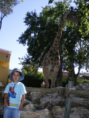 IMGP0484.jpg