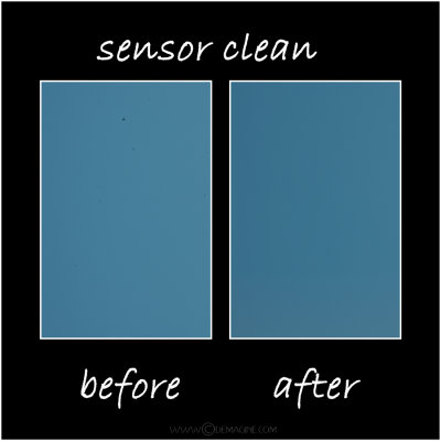 sensor clean