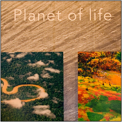 Planet of life