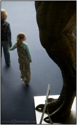 T-REX