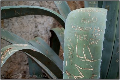 Graffiti at Parc Gruell