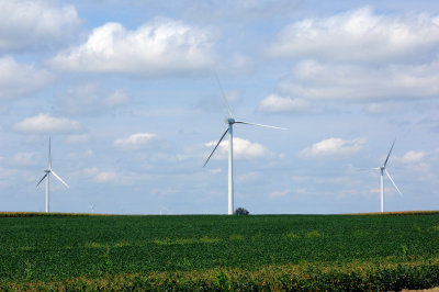 Farming Wind I
