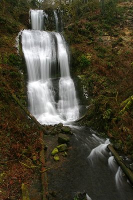 Royal Terrace Falls