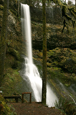 Winter Falls
