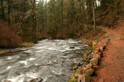 g6/67/34567/3/73874069.PG42lpsh.jpg