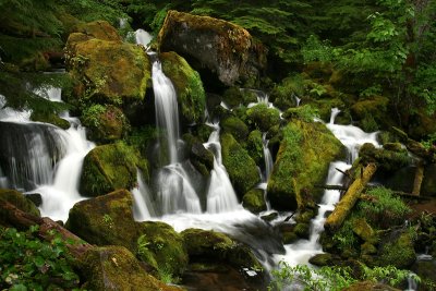 g6/67/34567/3/81993299.4ab1Tw9W.jpg