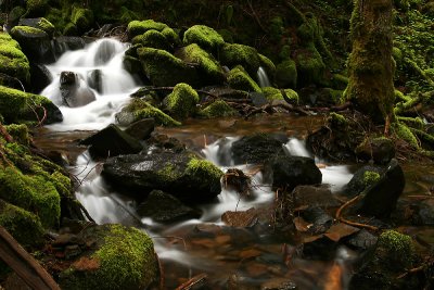Alex Creek