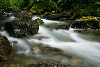 Parker Creek