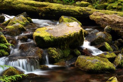 Proxy Creek