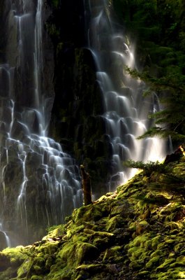 Proxy Falls