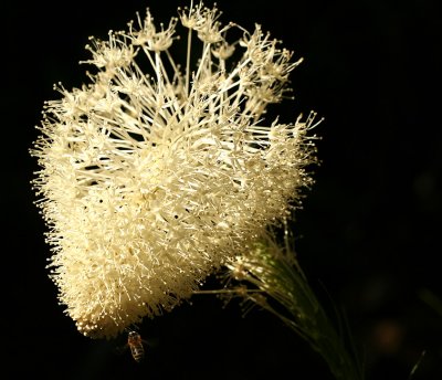 g6/67/34567/3/82450967.rY4SmnR5.jpg