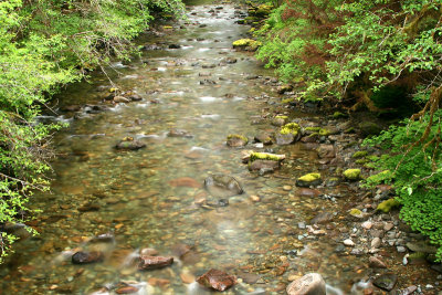 Brice Creek
