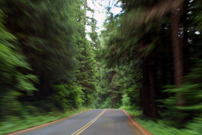 Zoomin down der Aufderheide