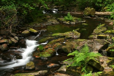 Sweet Creek