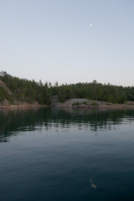 IMG_4469.jpg