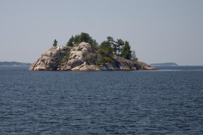IMG_4537.jpg