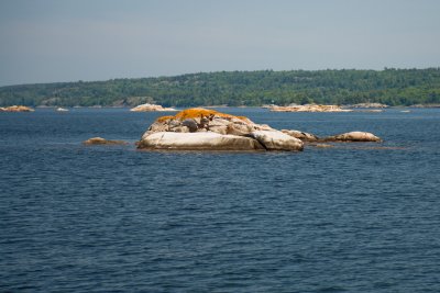IMG_4564.jpg