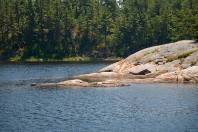 IMG_4572.jpg