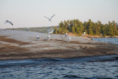 IMG_4611.jpg