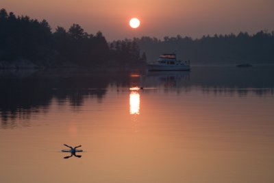 IMG_4635.jpg