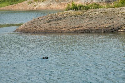 IMG_4784.jpg