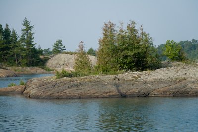 IMG_4786.jpg