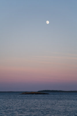 IMG_4894.jpg