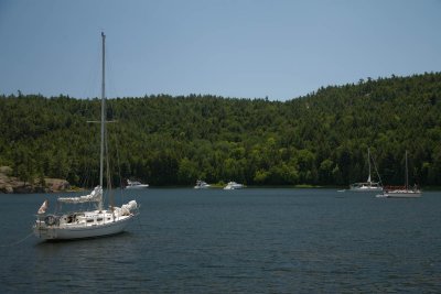 IMG_5200.jpg