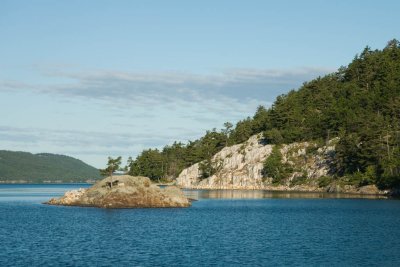 IMG_5398.jpg