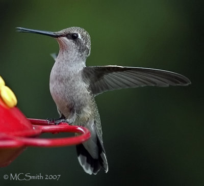 Perfect Landing