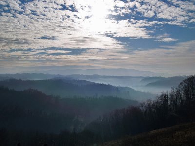 P1060228.jpg