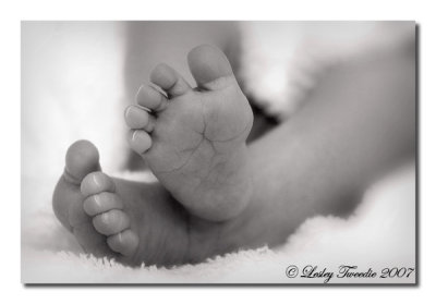 1-wk-old-toes.jpg