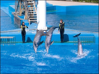 Parque Oceanografico