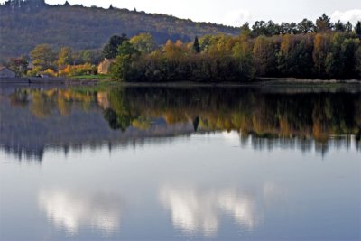 Around ponds in autumn 2006