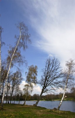 Etang de la Lande