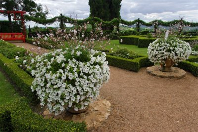 Jardin blanc