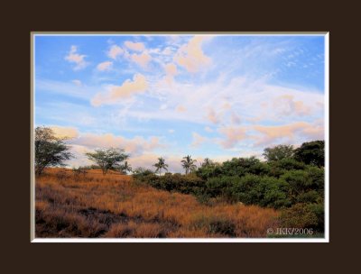 MauiCountryside1.jpg