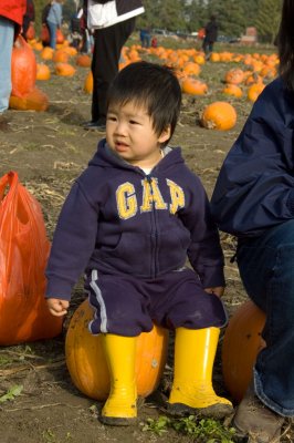 Pumpkin Sitter