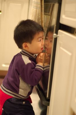 Looking Into Oven