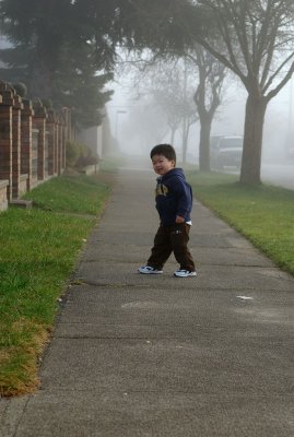 Caught In Morning Fog