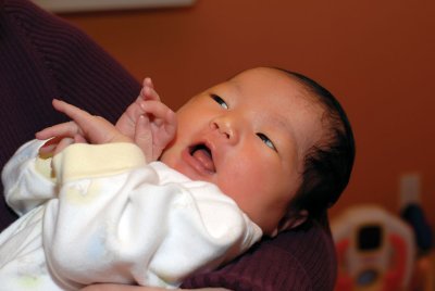 Dainty Fingers - Day 8