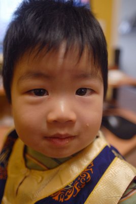 The Innocent
