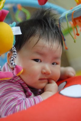 In Toy Jungle