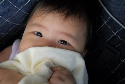 Bashful