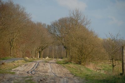 Bij het huisje