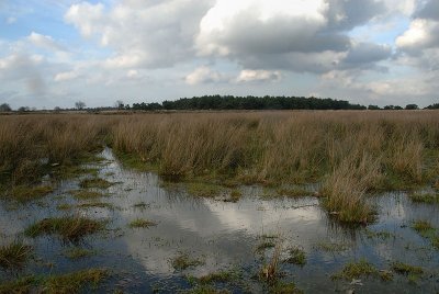 Hijker Veld