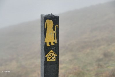The Pilgrim's Way